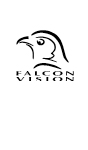 Falcon Vision logo